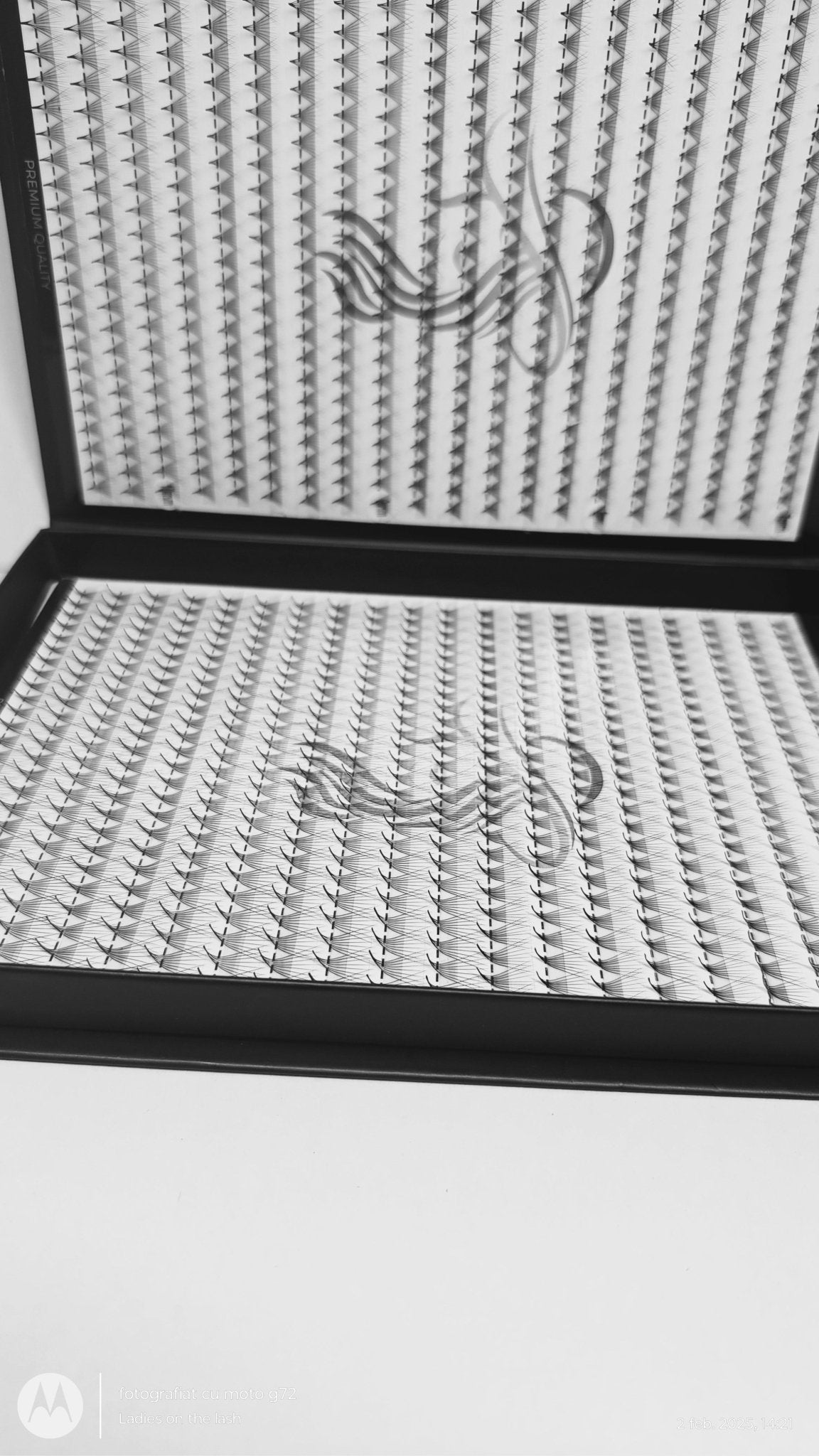 Extensii de gene premade 8D - LADIES ON THE LASHExtensii de gene Premade Ladies on the lash