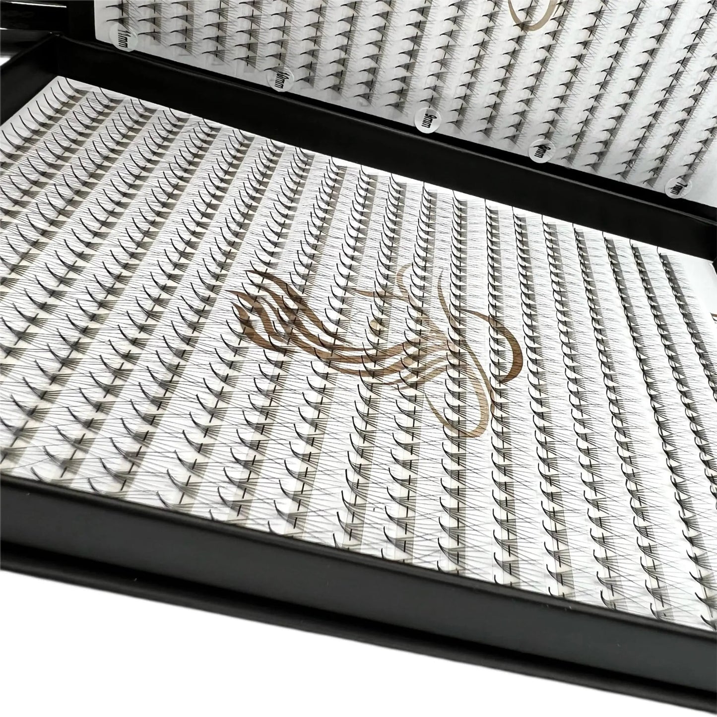 Extensii Gene Premade 6D - LADIES ON THE LASHExtensii de gene Premade Ladies on the lash