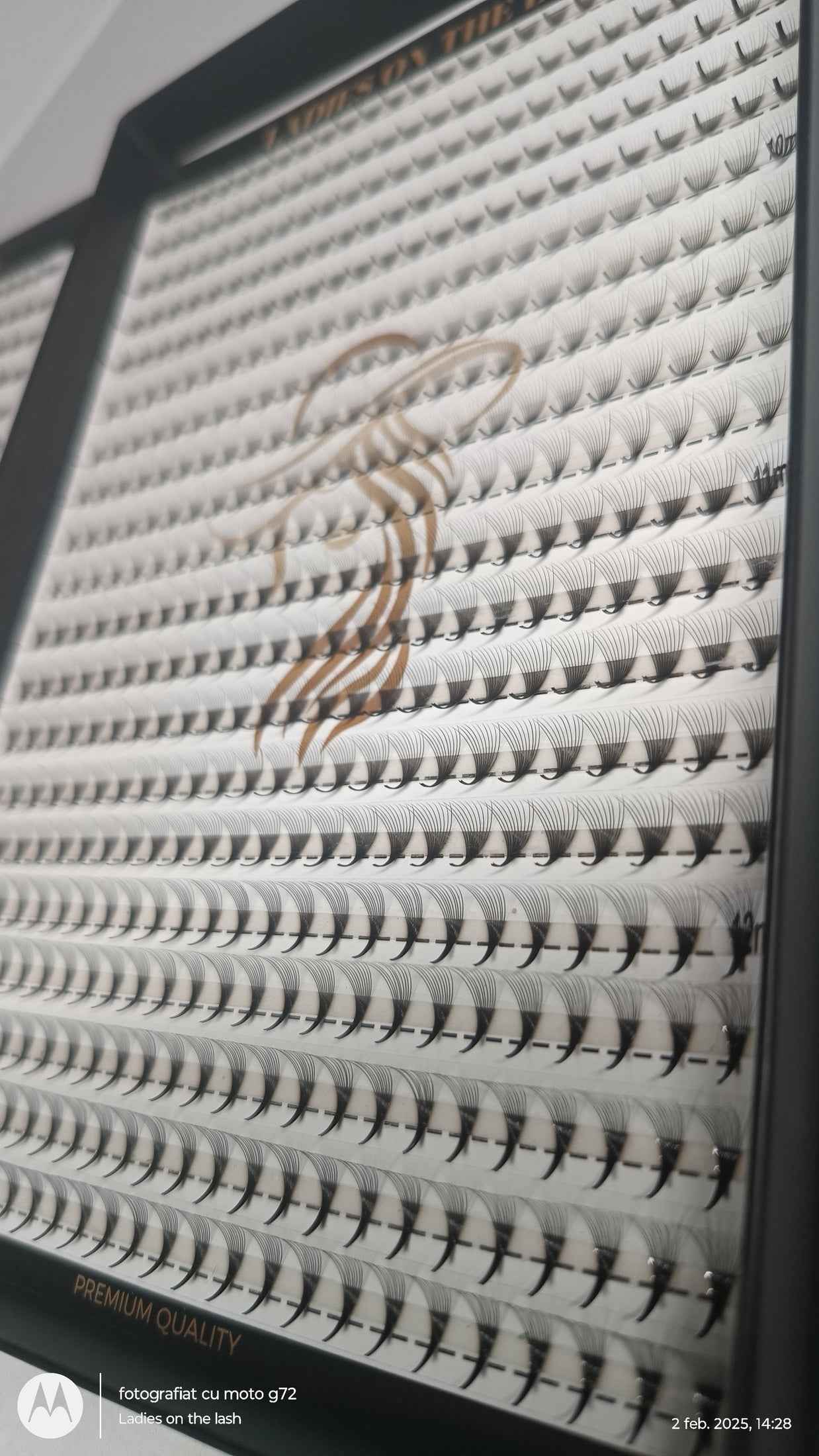 Extensii gene 10D LADIES ON THE LASH pentru volum maxim