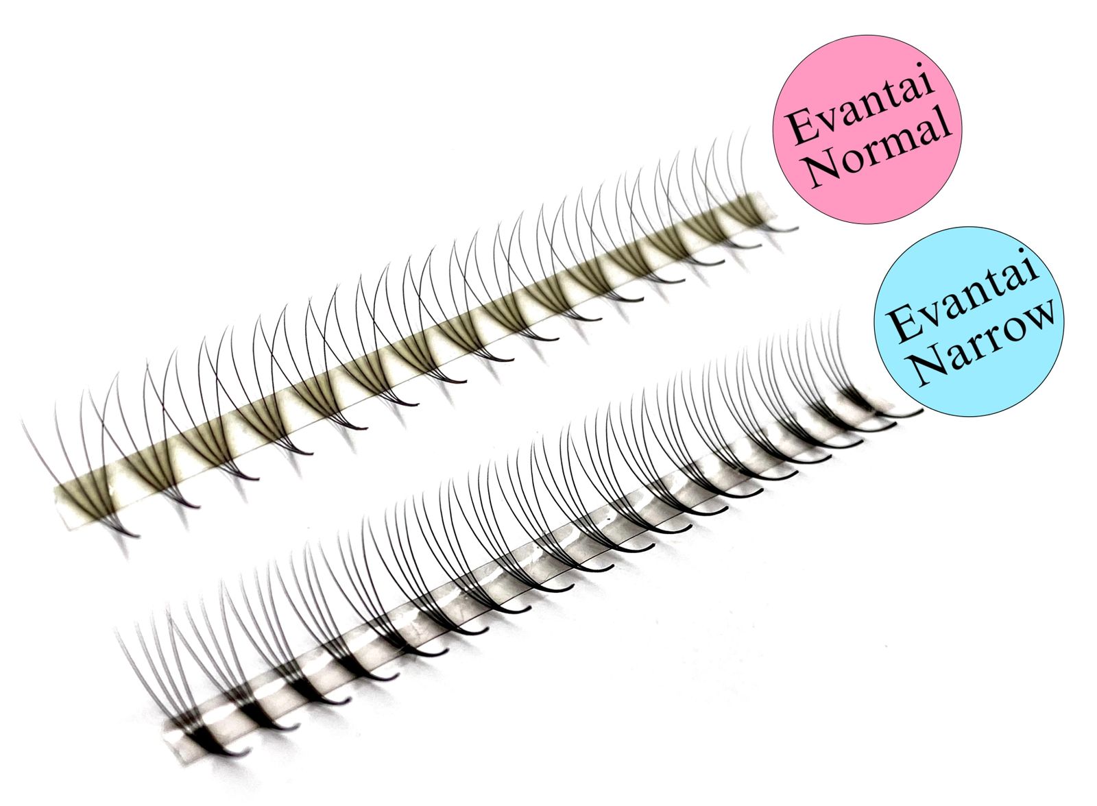 Gene Premade cutii individuale 500evantaie - LADIES ON THE LASH