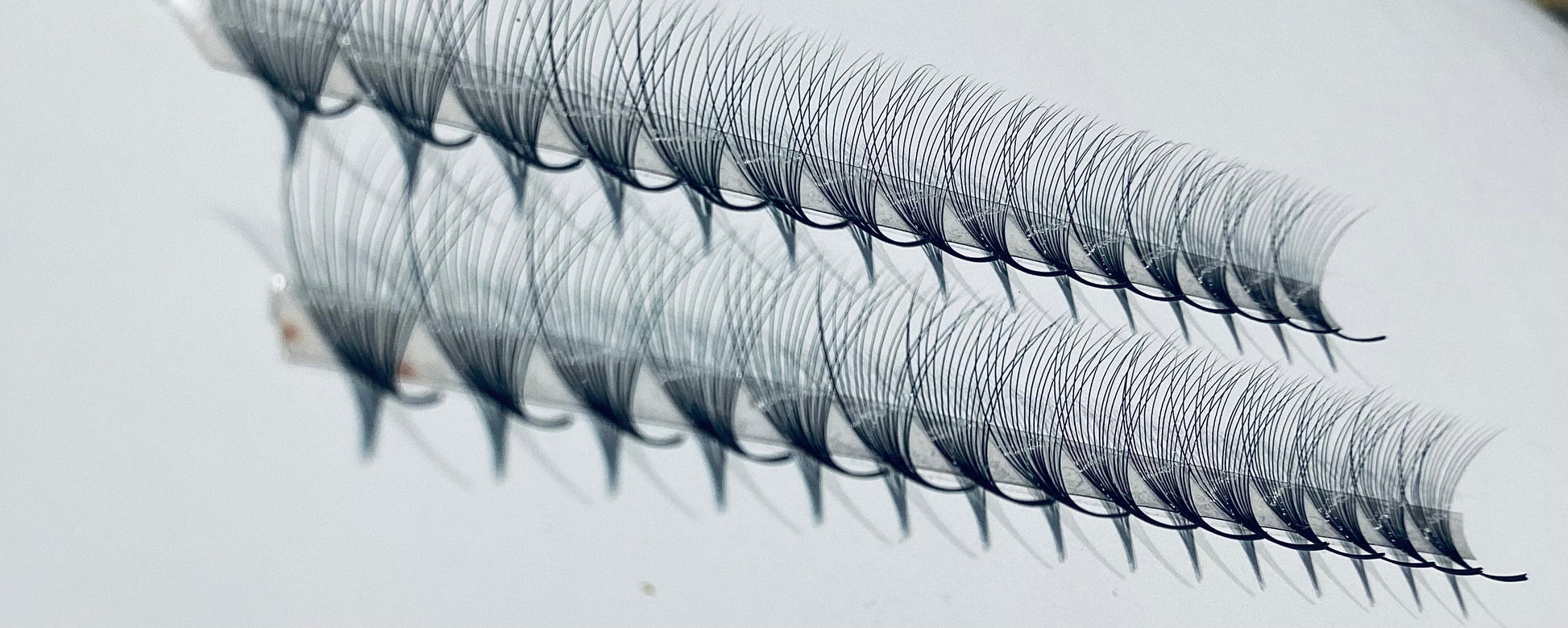 14D Narrow LADIES ON THE LASH