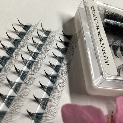 12D Extensii de Gene Premade - LADIES ON THE LASHExtensii de gene Premade Ladies on the lash