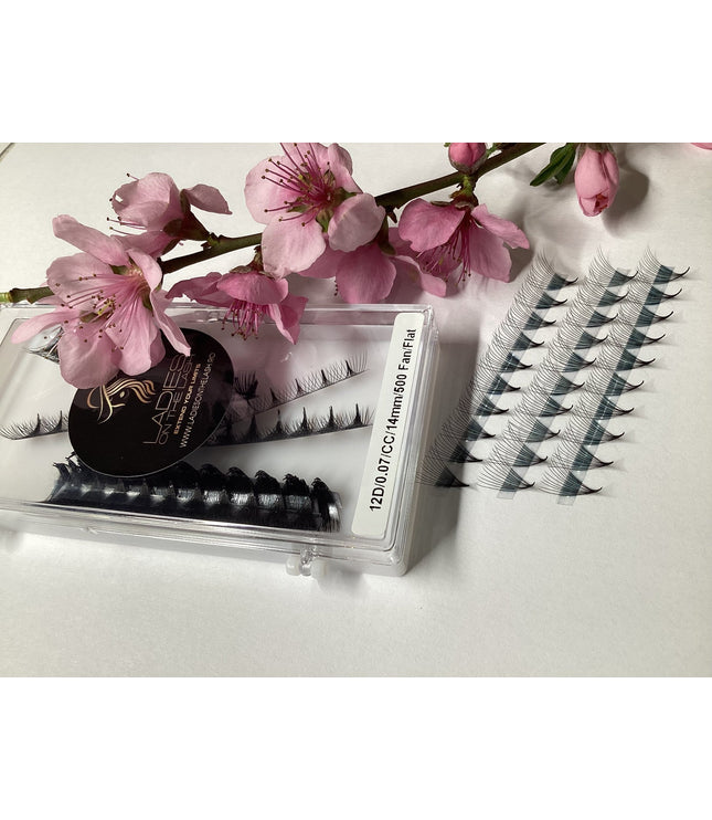 12D Extensii de Gene Premade - LADIES ON THE LASHExtensii de gene Premade Ladies on the lash