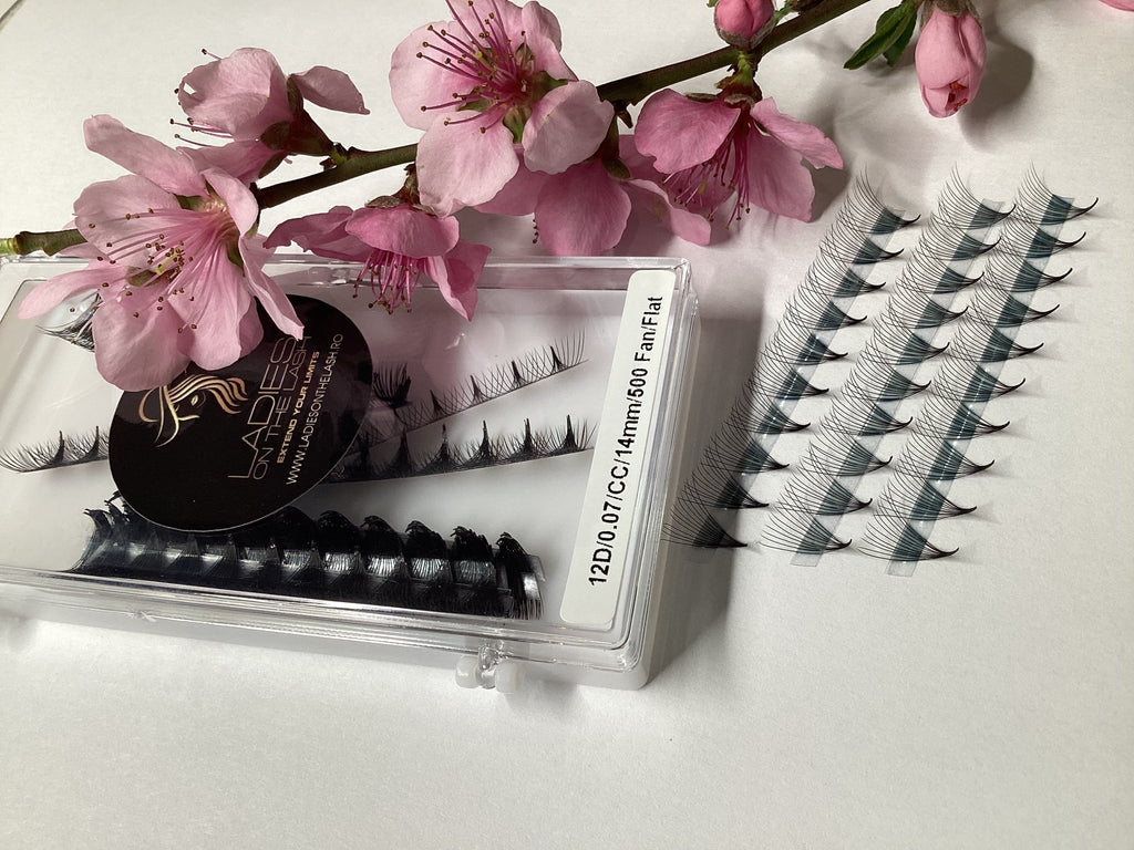 12D Extensii de Gene Premade - LADIES ON THE LASHExtensii de gene Premade Ladies on the lash