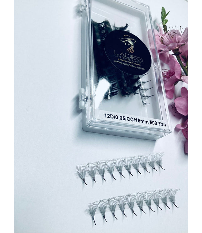 12D Extensii de Gene Premade - LADIES ON THE LASHExtensii de gene Premade Ladies on the lash