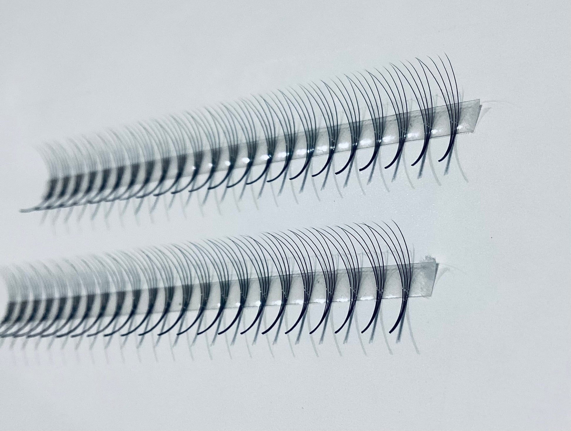 4D Narrow LADIES ON THE LASH