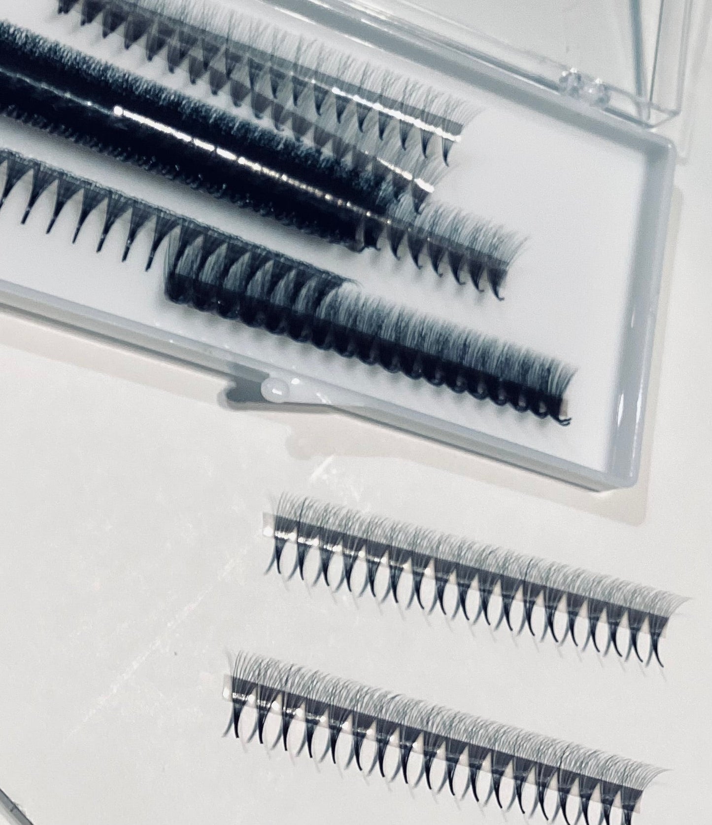 10D Narrow LADIES ON THE LASH