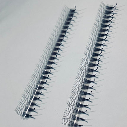 6D Narrow LADIES ON THE LASH