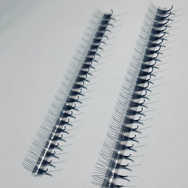 6D Narrow LADIES ON THE LASH