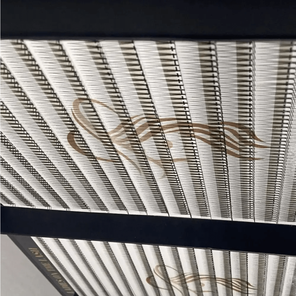 3D 2000 evantaie (8 - 10aplicari) - LADIES ON THE LASHExtensii de gene Premade Ladies on the lash