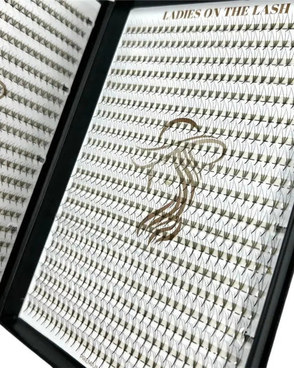 3D 2000 evantaie (8 - 10aplicari) - LADIES ON THE LASHExtensii de gene Premade Ladies on the lash