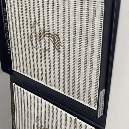 3D 2000 evantaie (8 - 10aplicari) - LADIES ON THE LASHExtensii de gene Premade Ladies on the lash