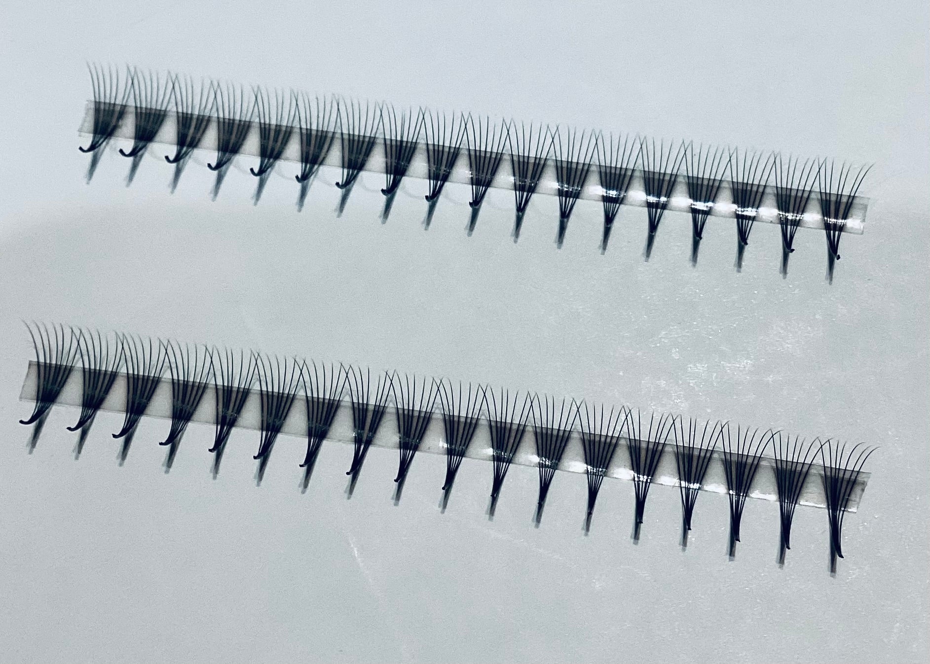 7D Narrow LADIES ON THE LASH