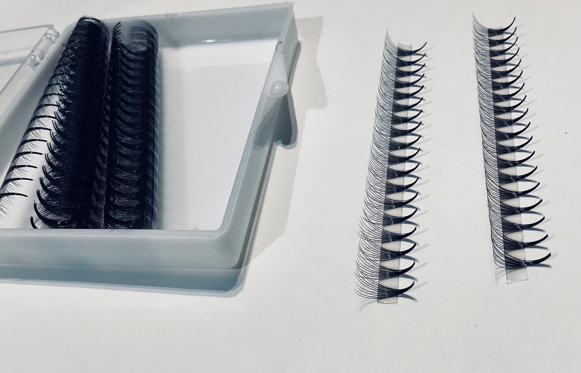 9D Narrow LADIES ON THE LASH