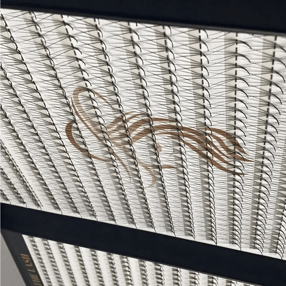 4D - LADIES ON THE LASHExtensii de gene Premade Ladies on the lash