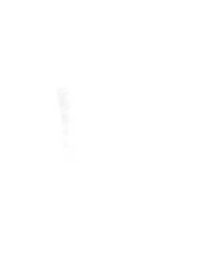 4D - LADIES ON THE LASHExtensii de gene Premade Ladies on the lash