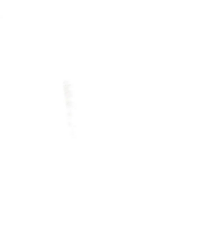 4D - LADIES ON THE LASHExtensii de gene Premade Ladies on the lash