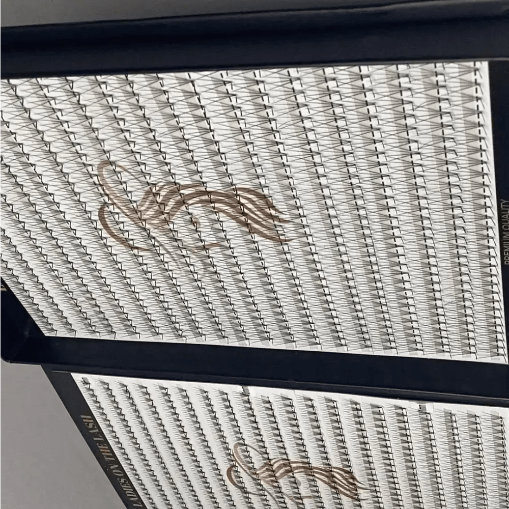 4D - LADIES ON THE LASHExtensii de gene Premade Ladies on the lash