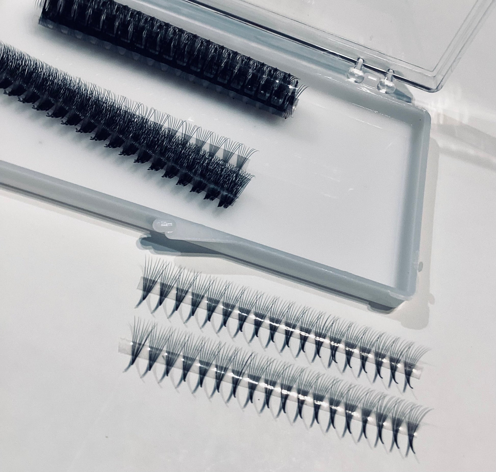 8D Narrow LADIES ON THE LASH