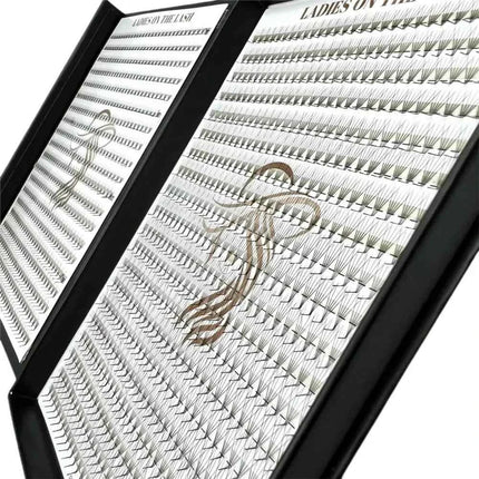 5D 1200 evantaie (5-6 aplicari)