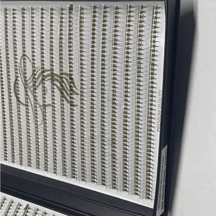 5D 1200 evantaie (5 - 6 aplicari) - LADIES ON THE LASHExtensii de gene Premade Ladies on the lash