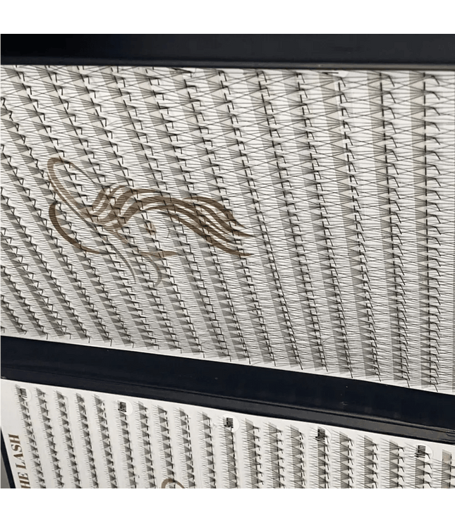 5D 1200 evantaie (5 - 6 aplicari) - LADIES ON THE LASHExtensii de gene Premade Ladies on the lash