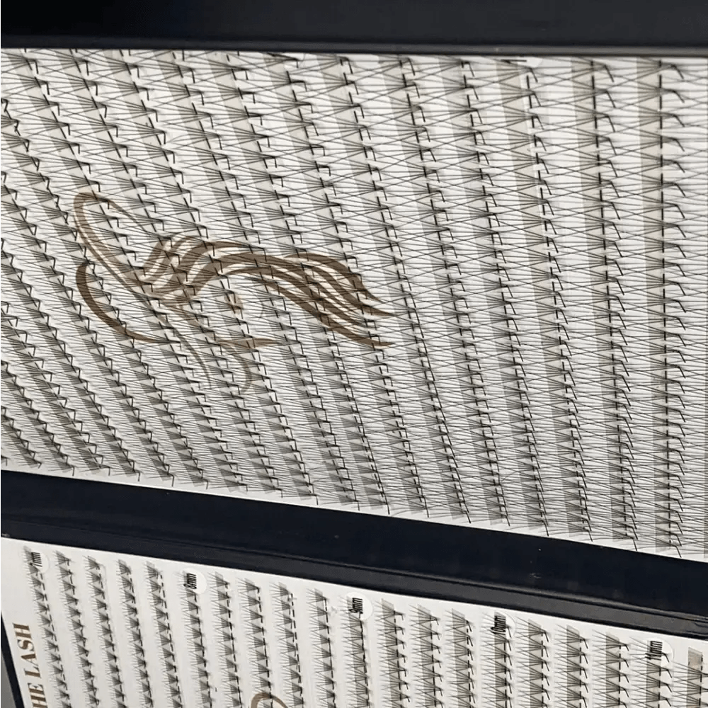 5D 1200 evantaie (5 - 6 aplicari) - LADIES ON THE LASHExtensii de gene Premade Ladies on the lash