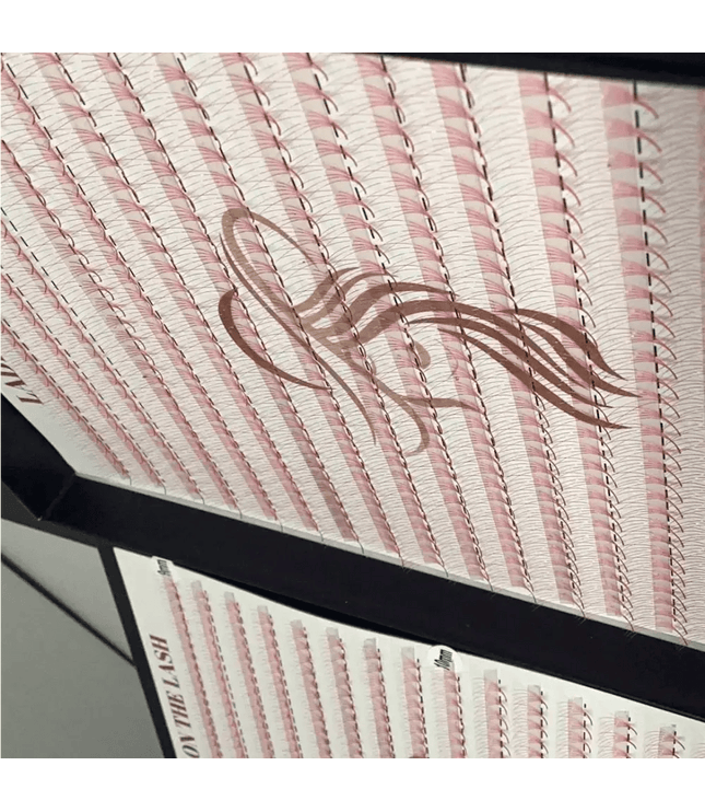 5D 1200 evantaie (5 - 6 aplicari) - LADIES ON THE LASHExtensii de gene Premade Ladies on the lash