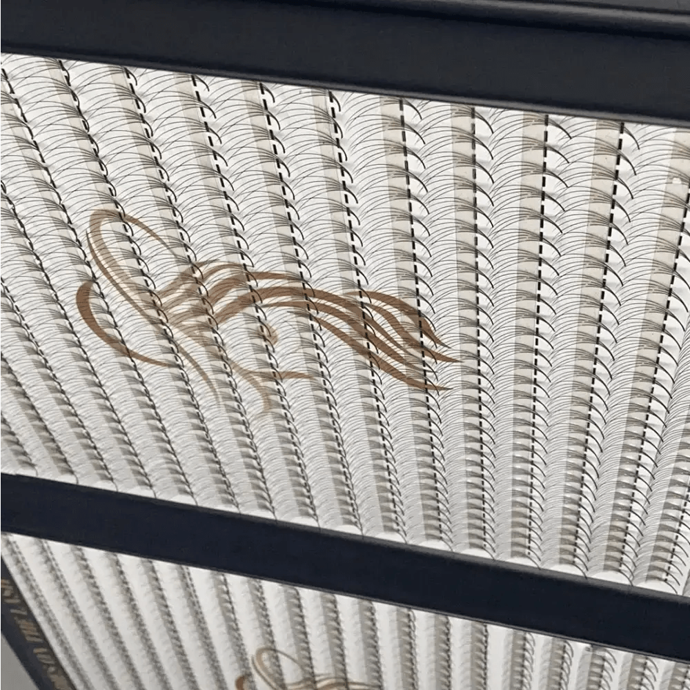 5D 1200 evantaie (5 - 6 aplicari) - LADIES ON THE LASHExtensii de gene Premade Ladies on the lash