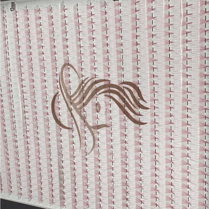 5D 1200 evantaie (5 - 6 aplicari) - LADIES ON THE LASHExtensii de gene Premade Ladies on the lash