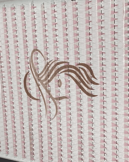 5D 1200 evantaie (5 - 6 aplicari) - LADIES ON THE LASHExtensii de gene Premade Ladies on the lash