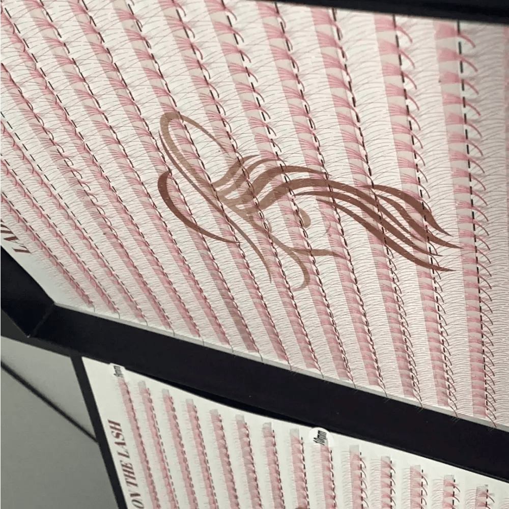 5D 1200 evantaie (5 - 6 aplicari) - LADIES ON THE LASHExtensii de gene Premade Ladies on the lash