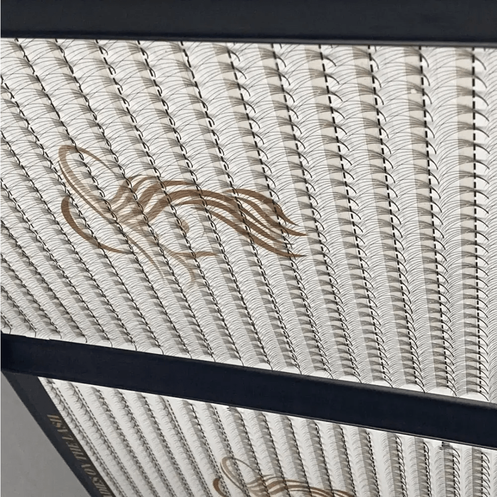 5D 1200 evantaie (5 - 6 aplicari) - LADIES ON THE LASHExtensii de gene Premade Ladies on the lash