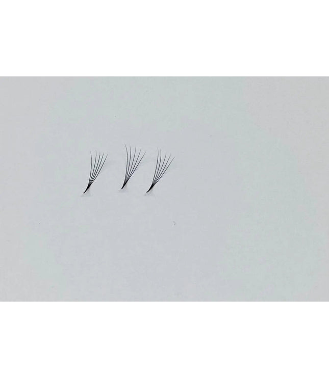 5D Narrow - LADIES ON THE LASHExtensii de gene Premade Ladies on the lash