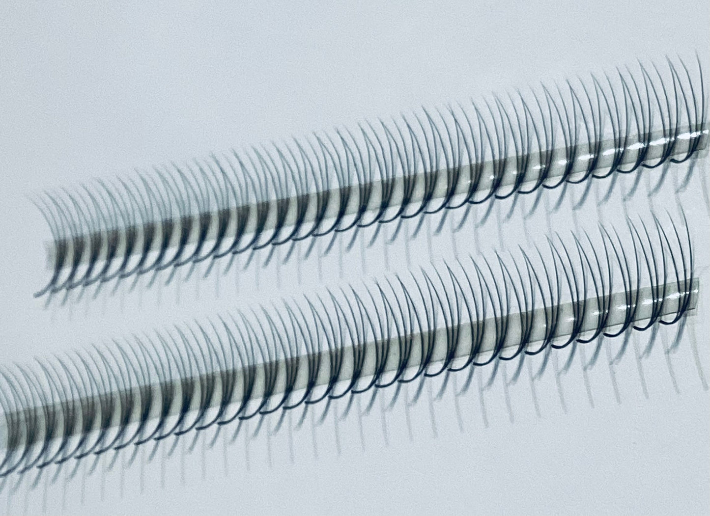 3D Narrow LADIES ON THE LASH