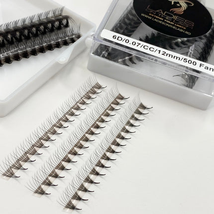 6D Extensii de Gene Premade LADIES ON THE LASH