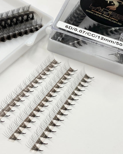 6D Extensii de Gene Premade LADIES ON THE LASH