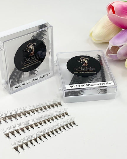 6D Extensii de Gene Premade - LADIES ON THE LASHExtensii de gene Premade Ladies on the lash
