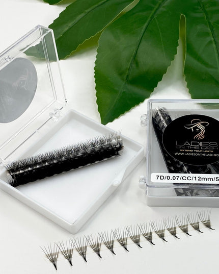 7D Extensii de Gene Premade - LADIES ON THE LASHExtensii de gene Premade Ladies on the lash