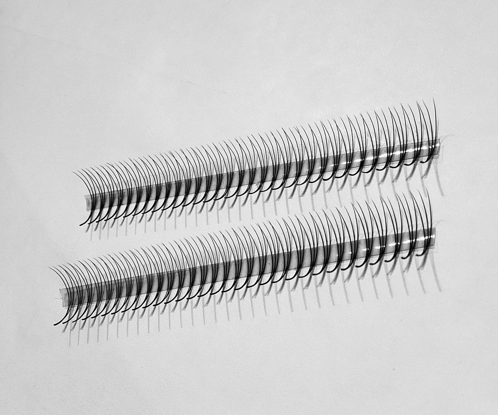 3D Narrow LADIES ON THE LASH