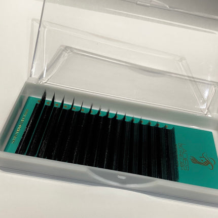 4D U 0.07 16linii LADIES ON THE LASH