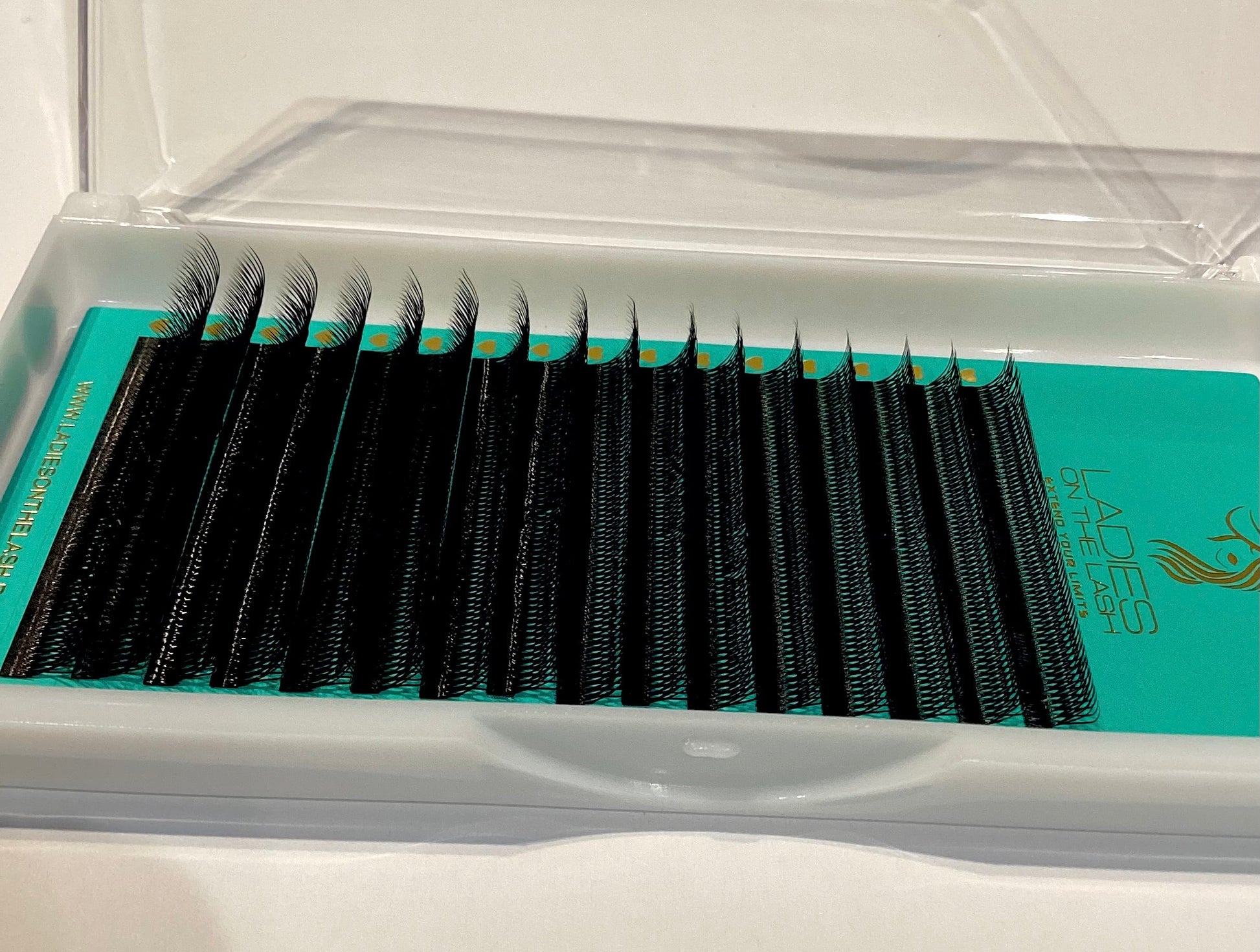 4D doble  (8D) W 0.07 16linii LADIES ON THE LASH