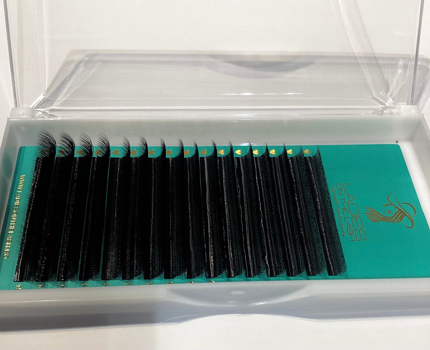 4D U 0.07 16linii LADIES ON THE LASH