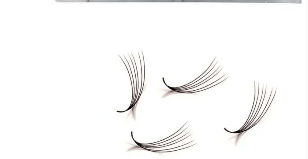 6D Narrow LADIES ON THE LASH