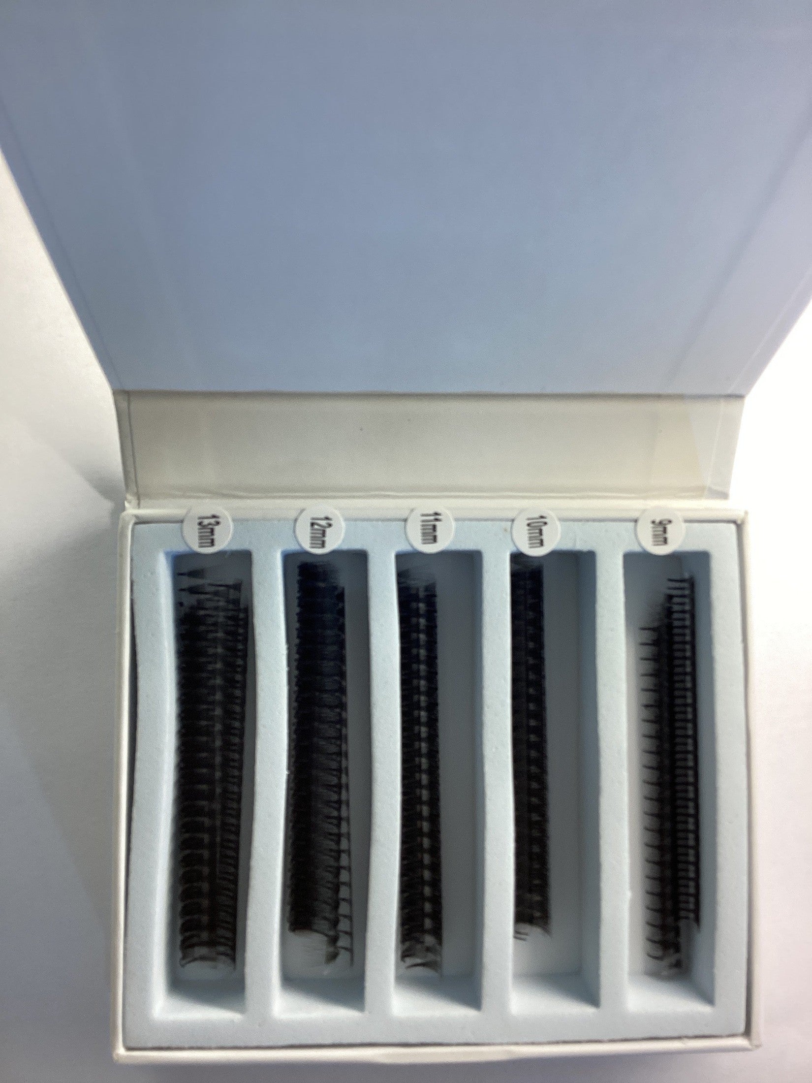 7D Narrow LADIES ON THE LASH