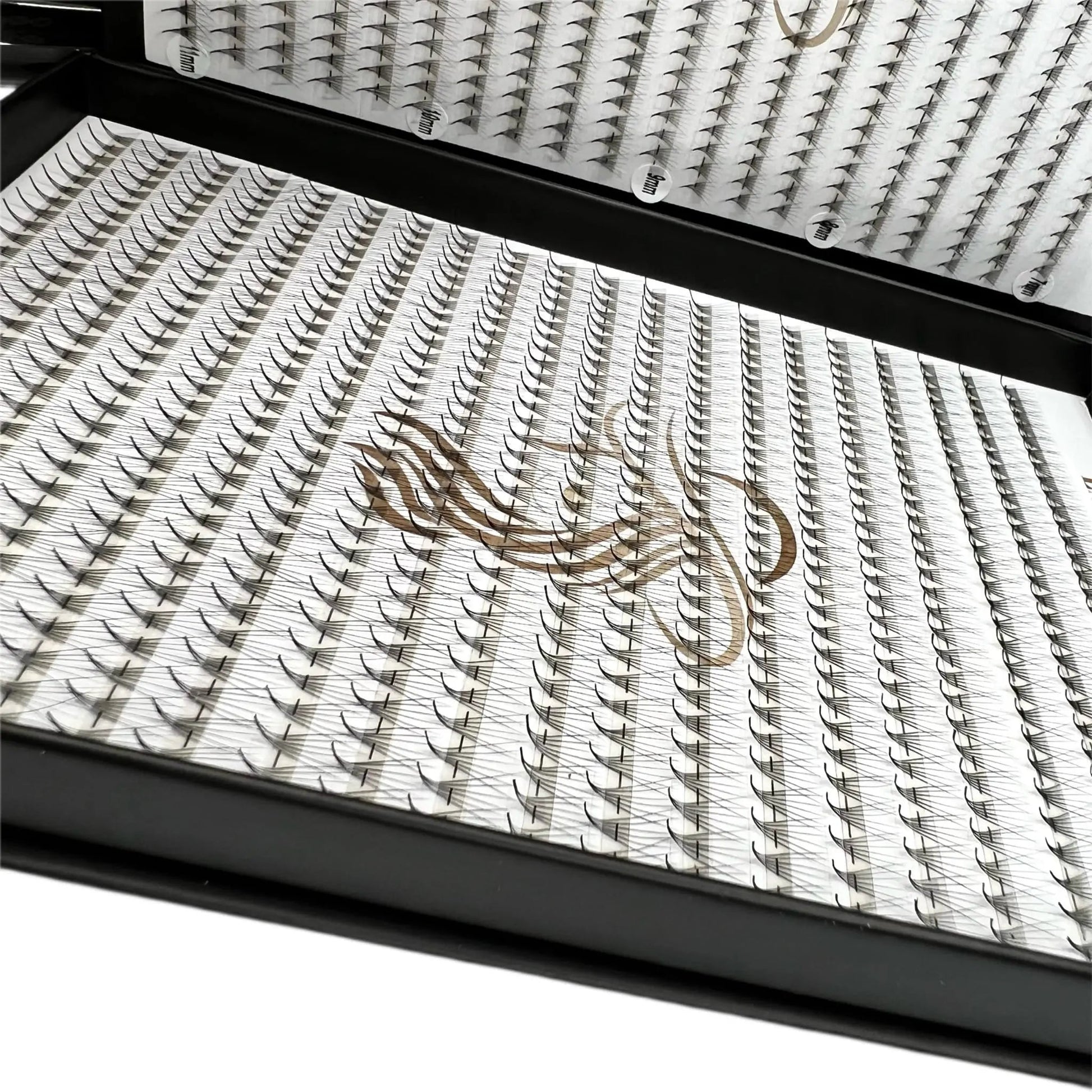 Extensii Gene Premade 6D - LADIES ON THE LASHExtensii de gene Premade Ladies on the lash