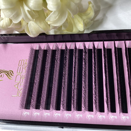 Gene W 3D - LADIES ON THE LASHExtensii de gene Premade Ladies on the lash