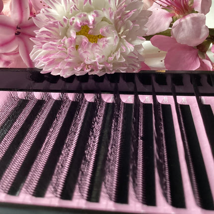 Gene W 4D(dublu) - LADIES ON THE LASHExtensii de gene Premade Ladies on the lash