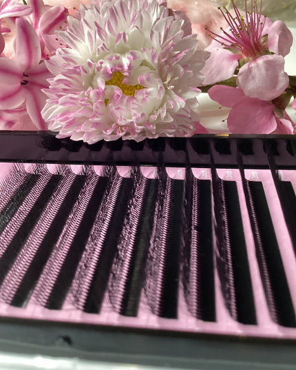 Gene W 4D(dublu) - LADIES ON THE LASHExtensii de gene Premade Ladies on the lash