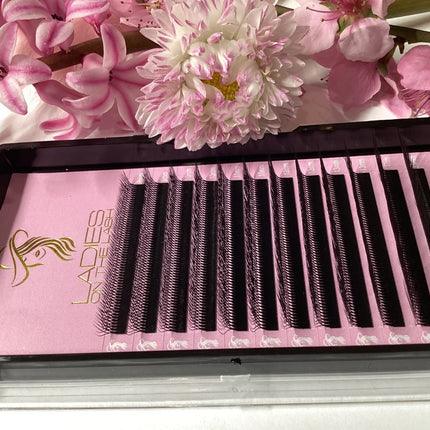 Gene W 4D(dublu) - LADIES ON THE LASHExtensii de gene Premade Ladies on the lash